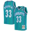 Gorgeous Prestigioso Duraturo Alonzo Mourning Charlotte Hornets Youth 1992/93 Hardwood Classics Swingman Jersey Teal per gli appassionati