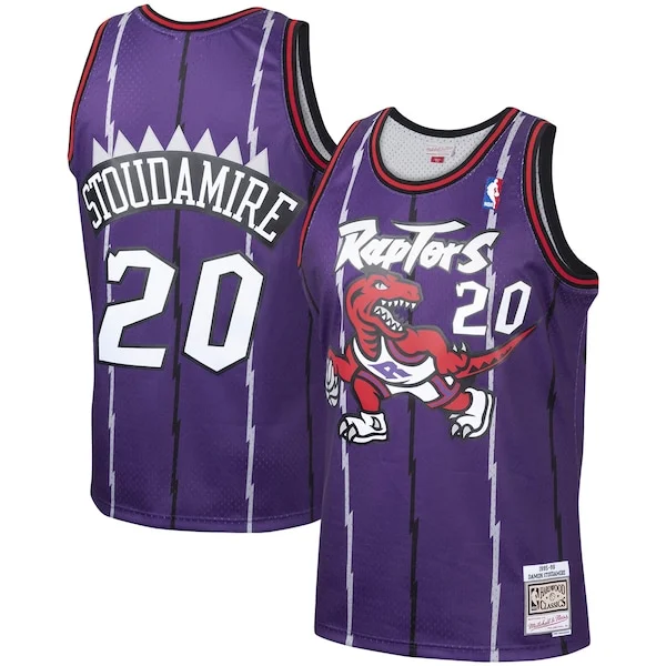 Sofisticato Accattivante Delizioso Damon Stoudamire Toronto Raptors 1995/96 Hardwood Classics Swingman Jersey Purple per gli appassionati