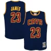 Duraturo Lussuoso LeBron James Cleveland Cavaliers Youth 2008/09 Hardwood Classics Swingman Jersey Navy per gli appassionati