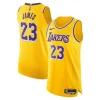 Gorgeous LeBron James Los Angeles Lakers Nike Authentic Jersey Icon Edition Gold per gli appassionati