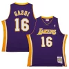 Eccezionale Pau Gasol Los Angeles Lakers 2009/10 Hardwood Classics Swingman Jersey Purple per gli appassionati