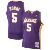 Classico Robert Horry Los Angeles Lakers 1999/00 Hardwood Classics Swingman Jersey Purple per gli appassionati